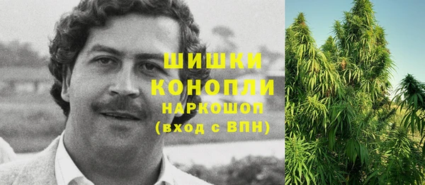 прущая мука Белокуриха