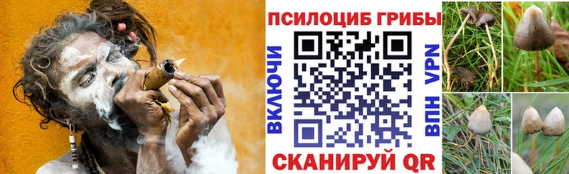 Галлюциногенные грибы Magic Shrooms  Барыш 